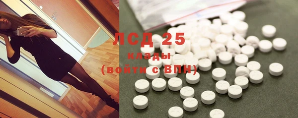 спайс Новодвинск