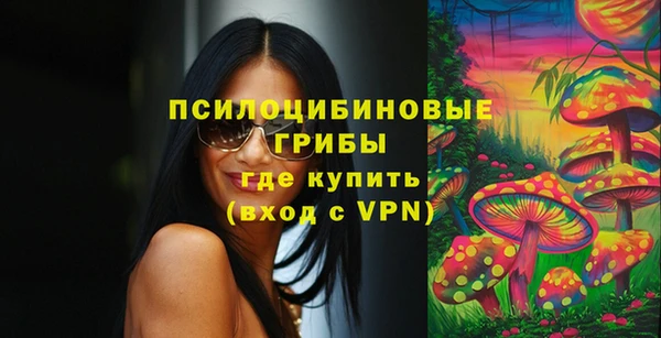 эйфоретик Новозыбков