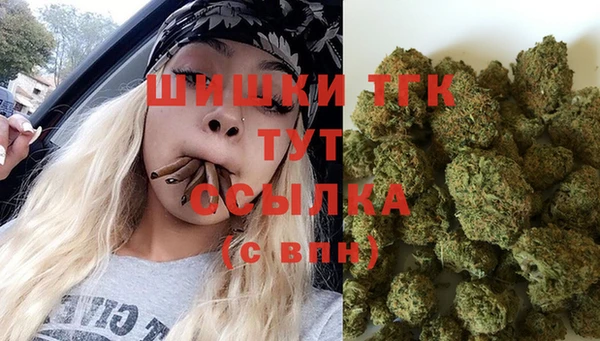 спайс Новодвинск